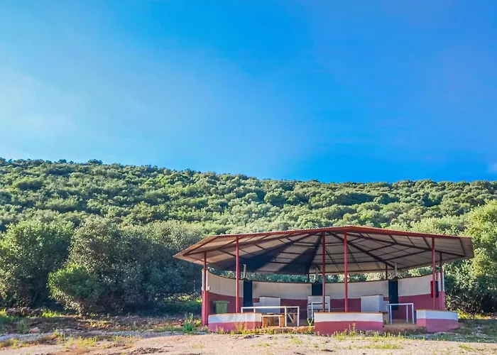 Awesome In With Kitchenette אסטפה